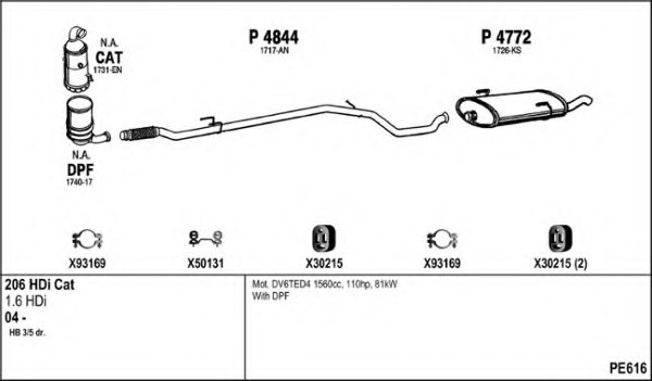 FENNO PE616 Exhaust System